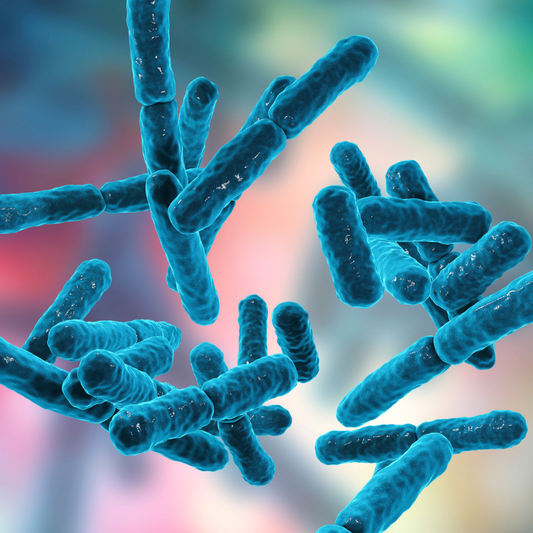 Can Probiotics Cause Diarrhea? A Gut Adjustment Guide