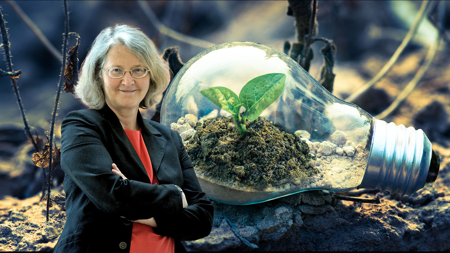 Person standing next to a light bulb containing a plant in a desert setting